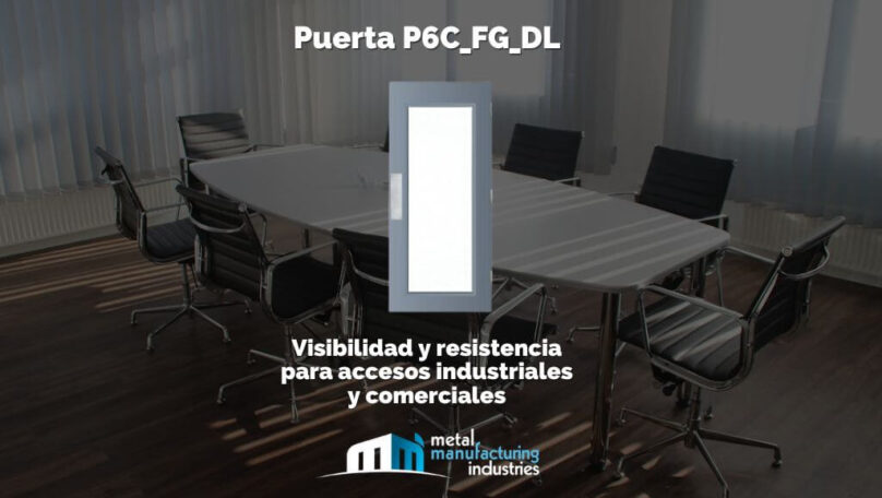 Puerta P6C_FG_DL: Visibilidad y resistencia para accesos industriales y comerciales