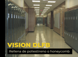 Vision DLFB